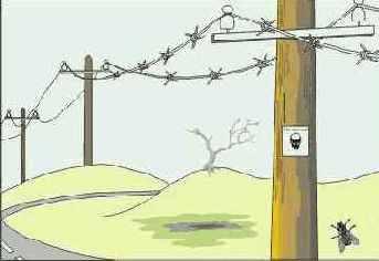  Internet

