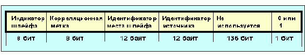 Internet
