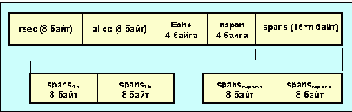 Internet

