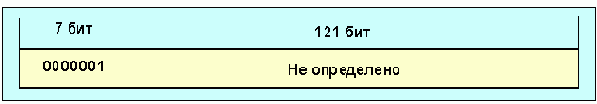  Internet
