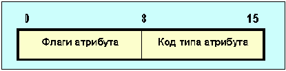  Internet
