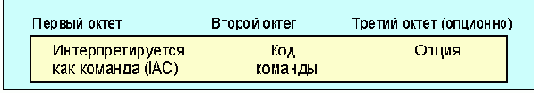  Internet
