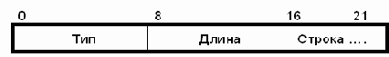  Internet
