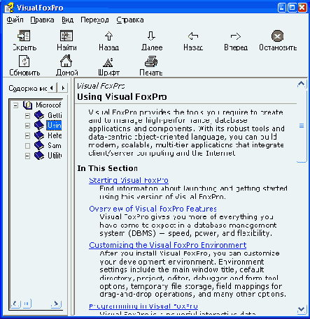   Visual Foxpro 7