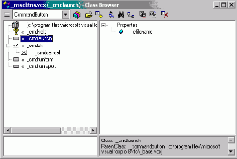 FoxPro8
