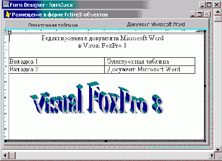 FoxPro8
