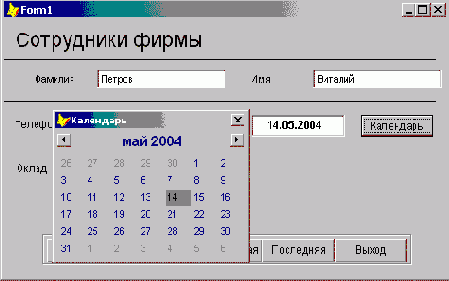 FoxPro8
