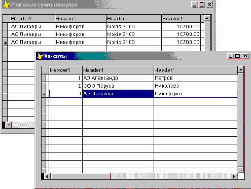 FoxPro8
