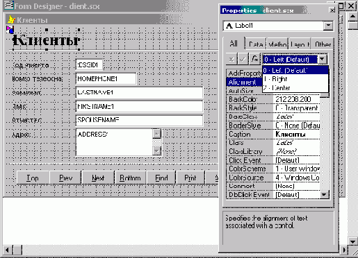 FoxPro8
