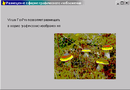 FoxPro8
