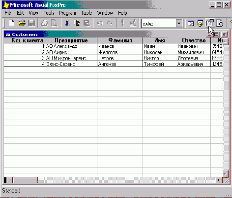 FoxPro8
