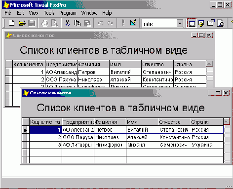FoxPro8