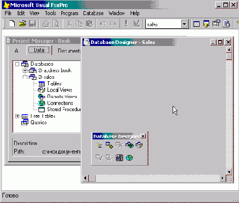 FoxPro8
