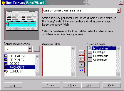 FoxPro8
