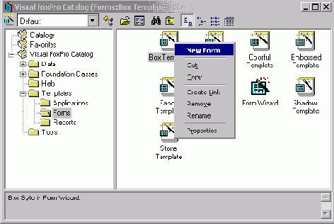 FoxPro8
