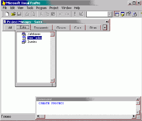 FoxPro8
