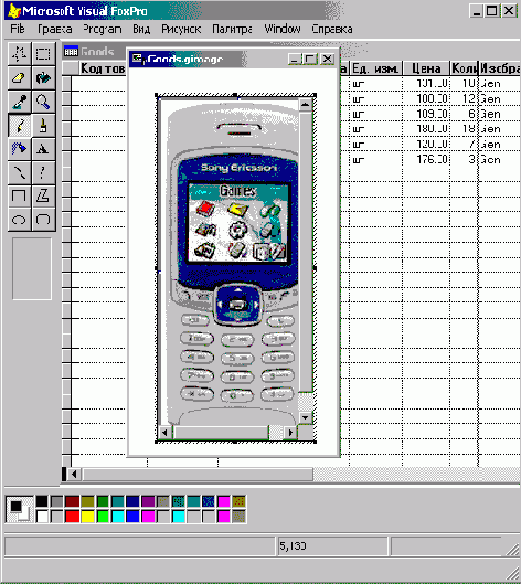FoxPro8