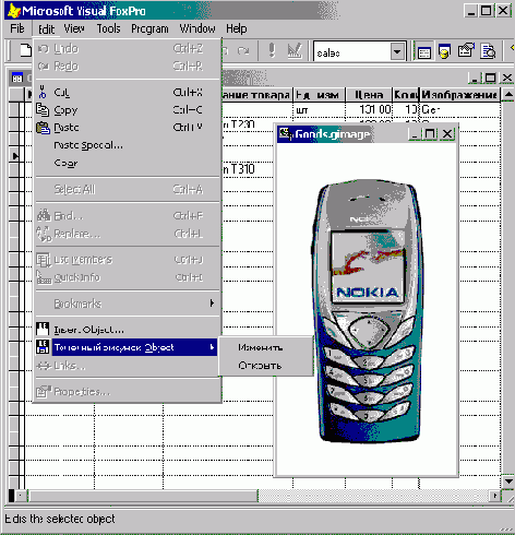 FoxPro8