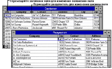 Microsoft FoxPro.      Windows
