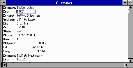 Microsoft FoxPro.      Windows

