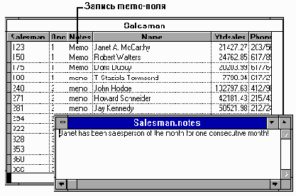 Microsoft FoxPro.      Windows
