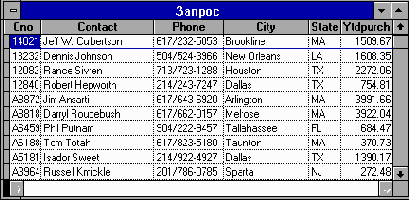 Microsoft FoxPro.      Windows
