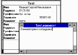 Microsoft FoxPro.      Windows

