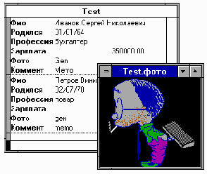 Microsoft FoxPro.      Windows
