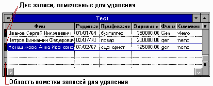 Microsoft FoxPro.      Windows
