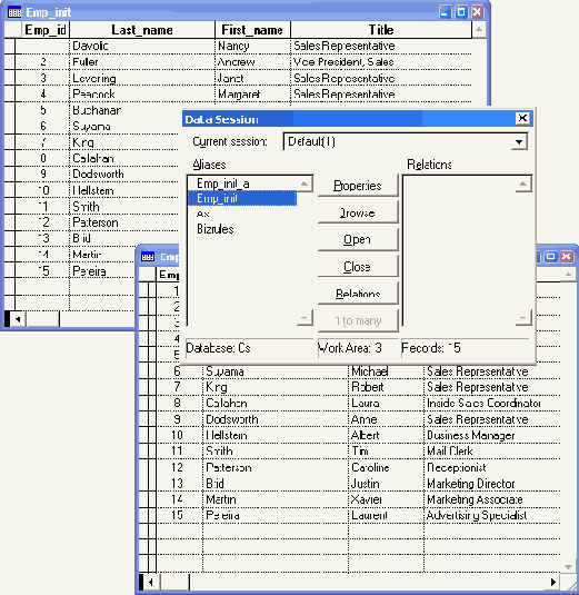   Visual Foxpro 7