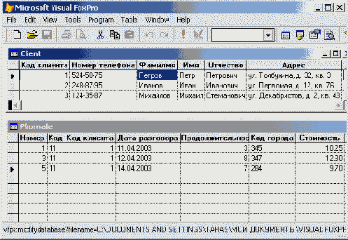   Visual Foxpro