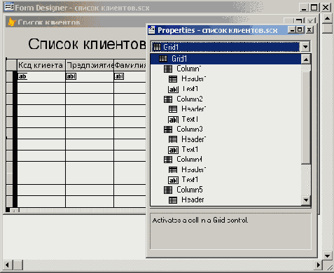   Visual Foxpro
