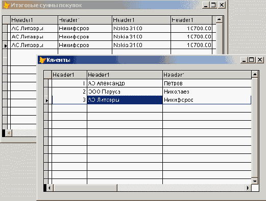   Visual Foxpro