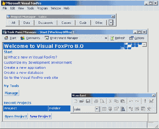   Visual Foxpro