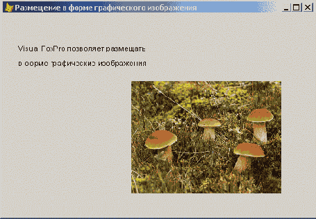 Базы данных Visual Foxpro