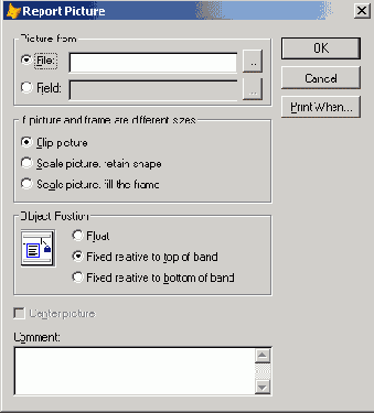   Visual Foxpro