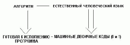 Курс лекций по информатике