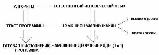 Курс лекций по информатике