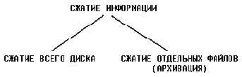 Курс лекций по информатике