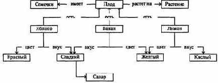 Информатика -продвинутый курс