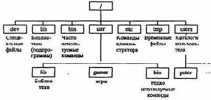 Информатика -продвинутый курс