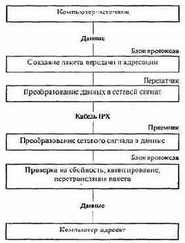 Информатика -продвинутый курс